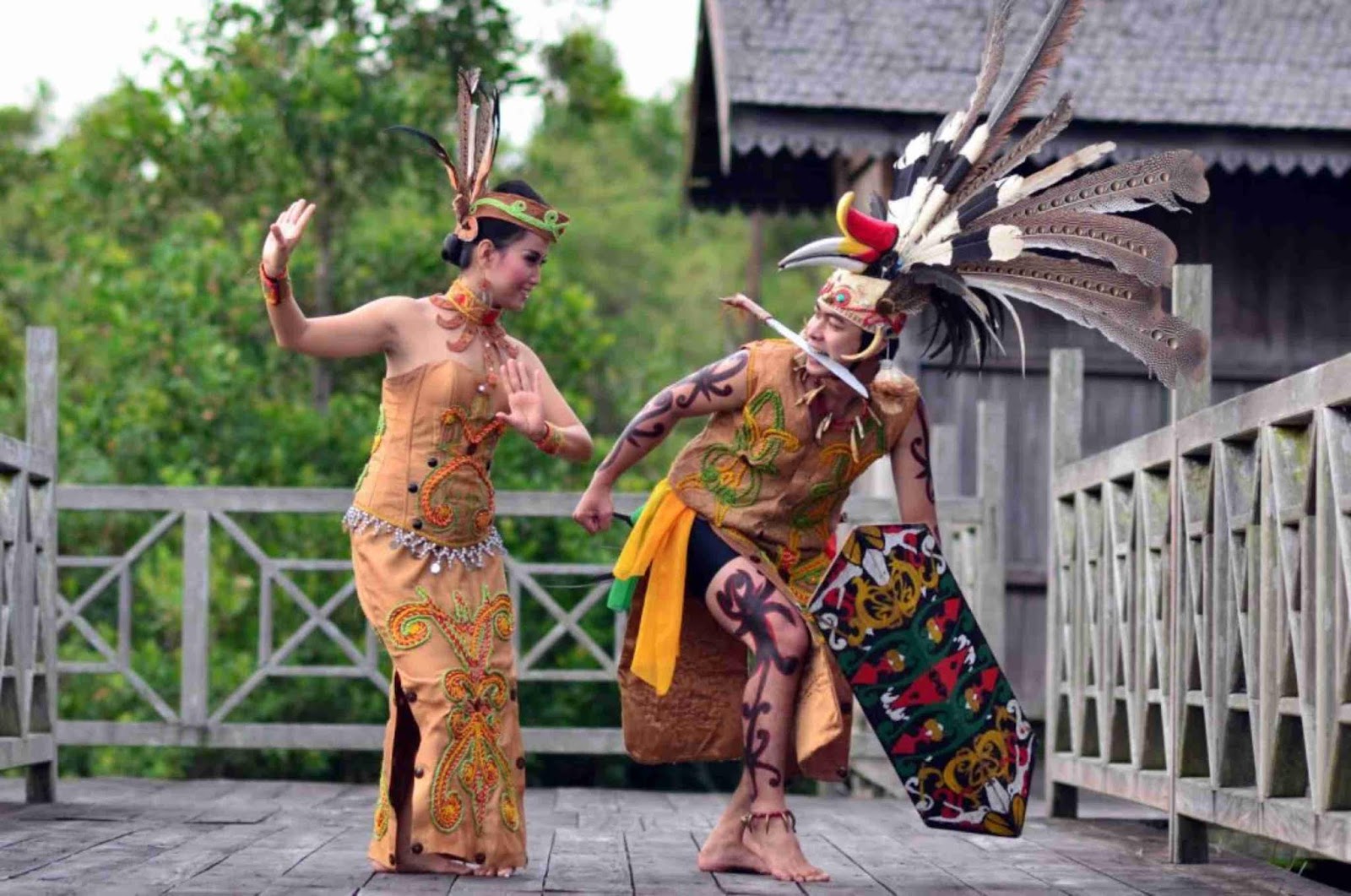 Mengenal Lebih Dekat Kearifan Lokal Suku Dayak  Budaya 