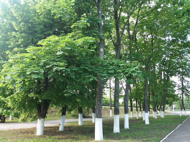 Сквер біля братської могили у Великій Кохнівці, Кременчук