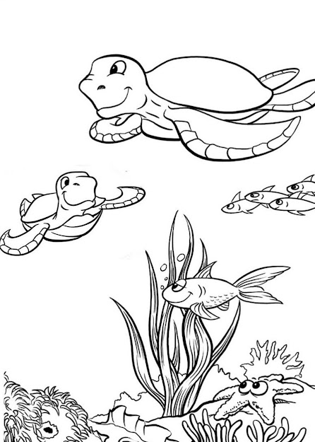 This Is Sea Turtle Coloring Pages And Book  You Can Download And