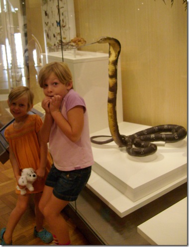 On-ROM-KingCobra