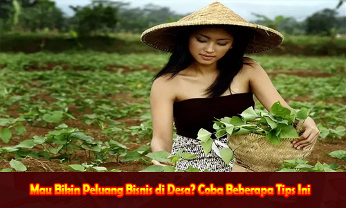 Mau Bikin Peluang Bisnis di Desa? Coba Beberapa Tips Ini