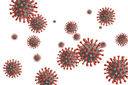 Penyebab dan Gejala Covid-19 atau Coronavirus 