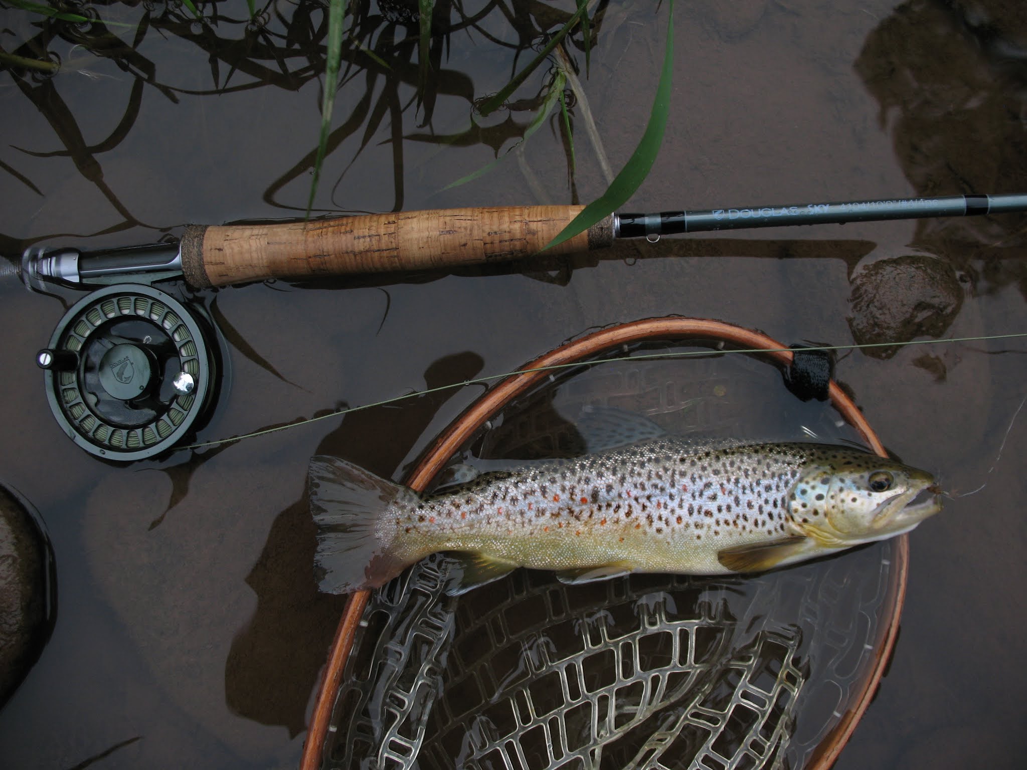 DRY FLY LEADERS FOR TROUT: THE LONG AND SHORT OF ITAND WHAT'S IN BETWEEN