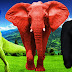 Color Wild Animals Cartoons For Children Dinosaur Gorilla Elephant Attack For Kids Tiger Lion Fight