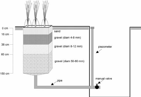 Draw a neat sketch of Constructed wet lands system and explain in brief