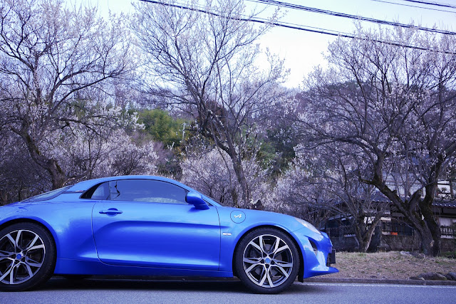 Alpine A110