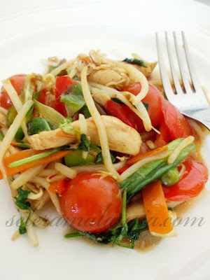 Vegetable and Chicken Stir Fry