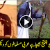 Get medical and life insurance before drinking camel urine in Dubai  