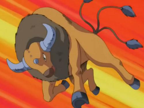 4 Pokemon Ini Hanya Bisa Kamu Temukan di Luar Negeri SAja