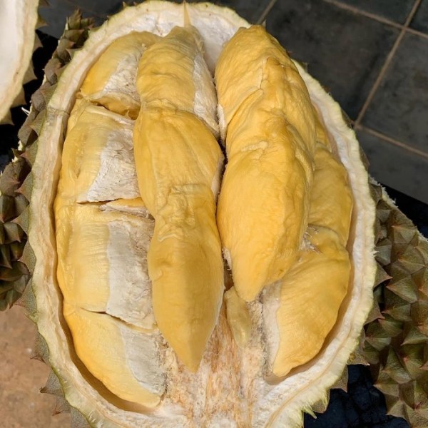 durian bawor