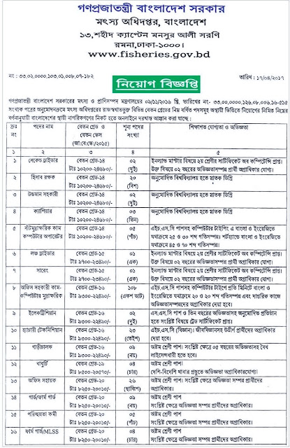 Job Circular