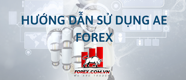 Hướng dẫn sử dụng EA trong giao dịch Forex