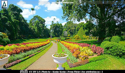 peradeniya botanical garden essay grade 8