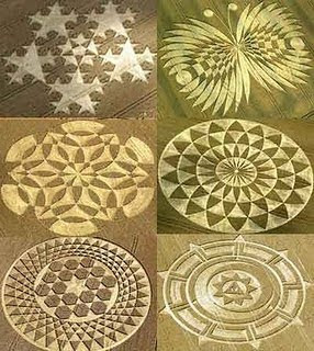 art design Crop Circle