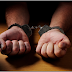 SHAUDERVILLE - POLICE SHUT DOWN DRUG POST AND ARREST ALLEGED DRUG LORD