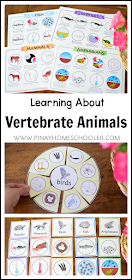 ANIMAL CHARACTERISTICS LEARNING MATERIALS