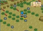 Harvest Moon Back to Nature Free Download Games PC