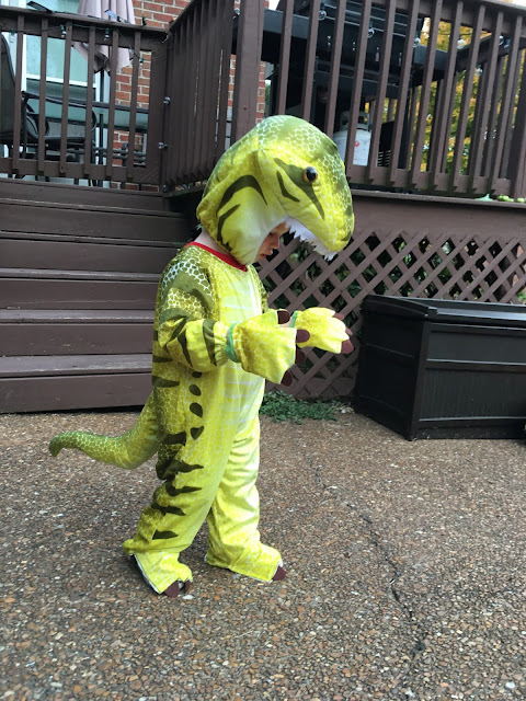 Dinosaur costume