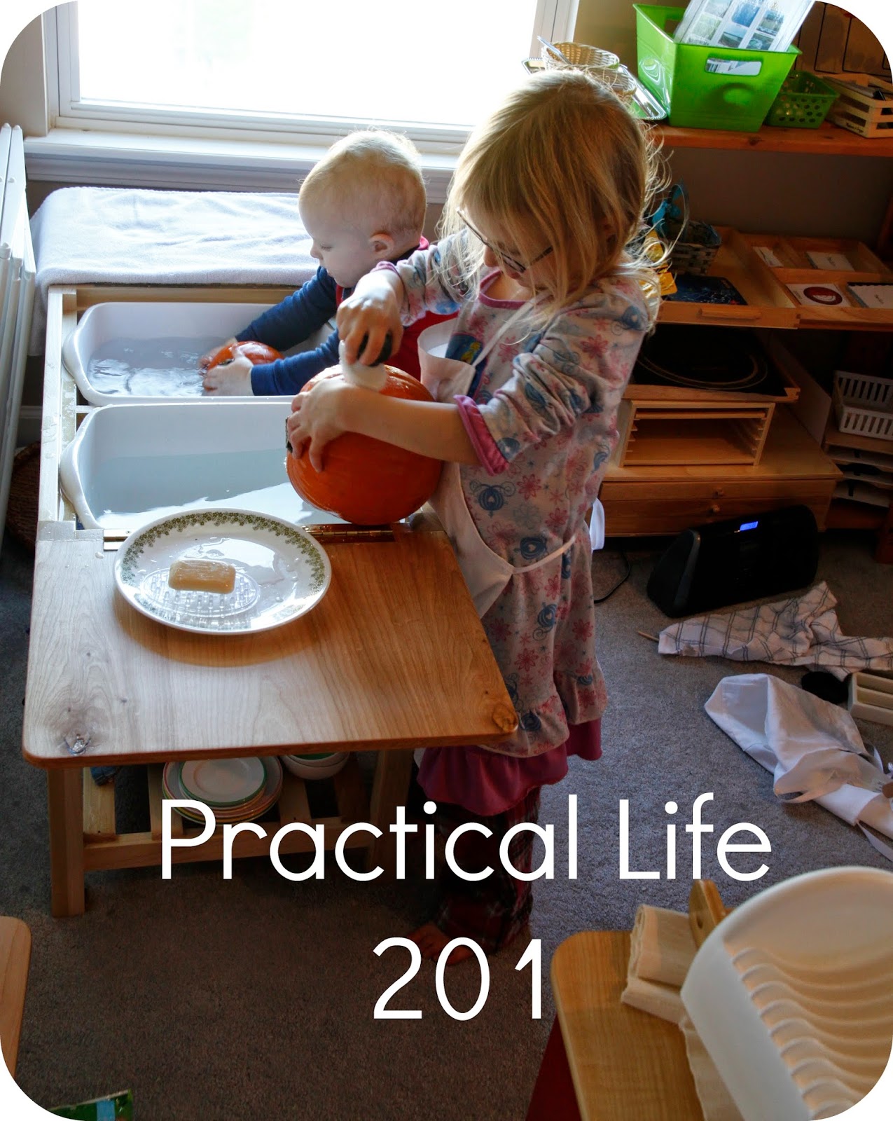 Practical Life 201