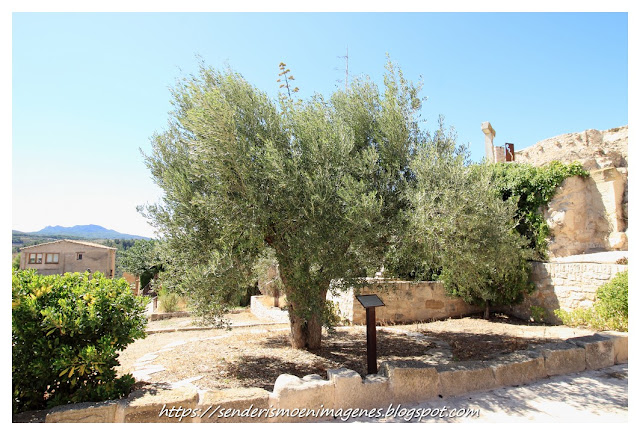 Poble Vell de Corbere d'Ebre