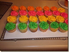 recital cupcakes (1)