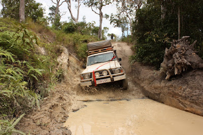 Old Telegraph Track - Gunshot Creek