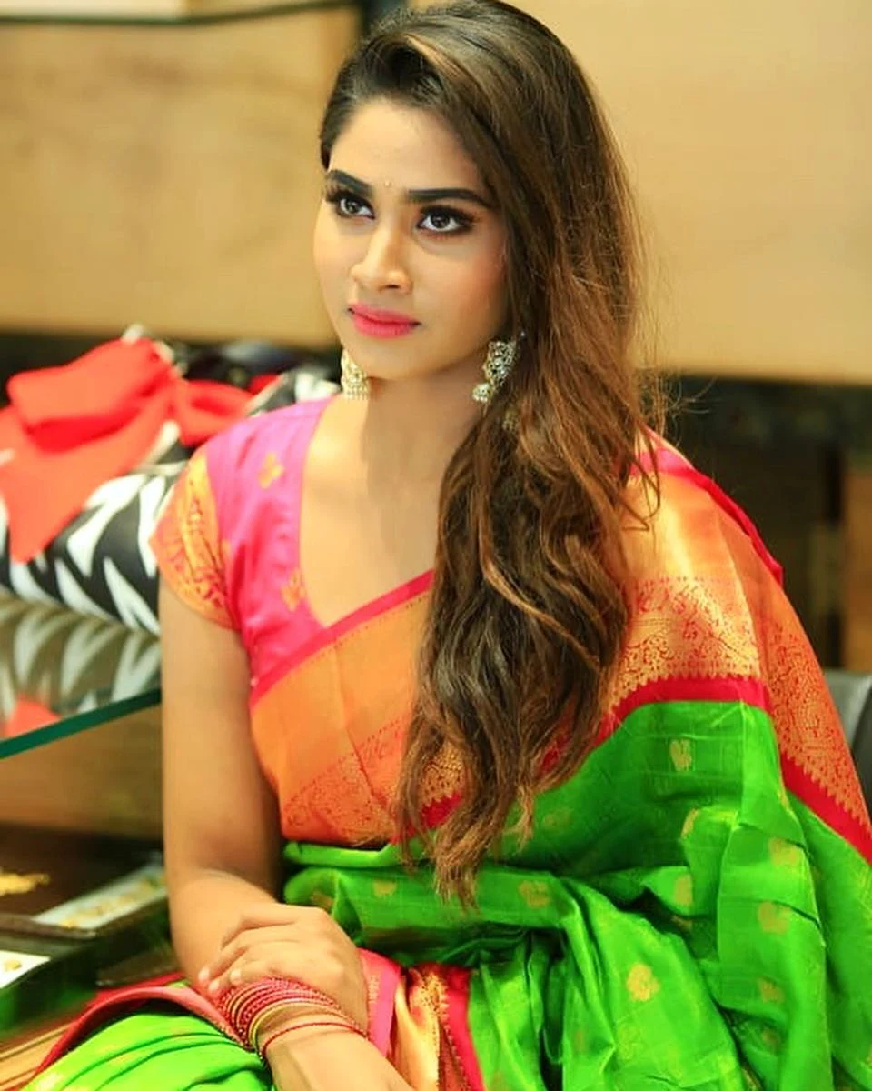 Actress Shivani Narayanan In Traditional Silk Saree 