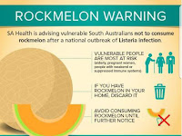 Tewaskan 4 Orang di Australia: Kementan Larang Rock Melon Masuk ke Indonesia