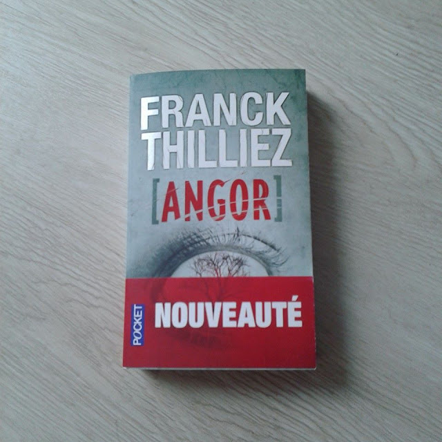 Angor de Franck Thilliez : Sharko et Henebelle au top de la forme