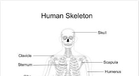  free printable skeleton for kids