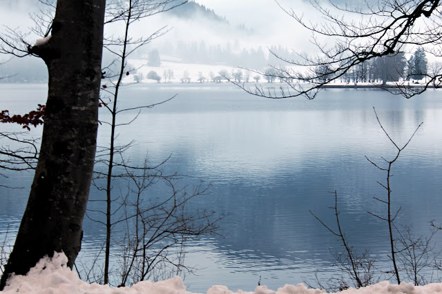 Foggy Lake Bohinj