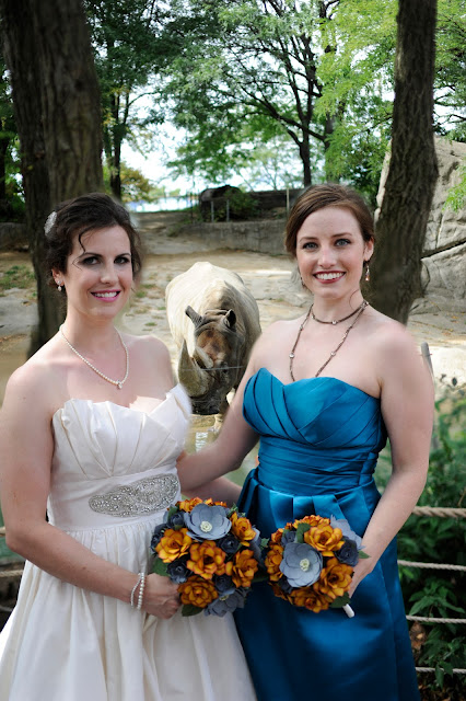 Wedding zoo hippo