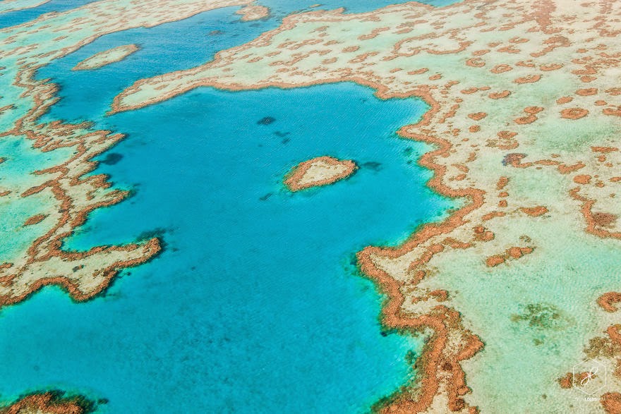 Heart Reef, Great barrier Reef, QLD  - Man Travels 40,000km Around Australia and Brings Back These Stunning Photos