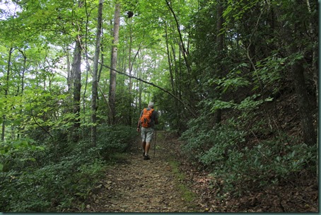 Bear Hair Gap Trail, Vogel State Park, Blairsville, Georgia