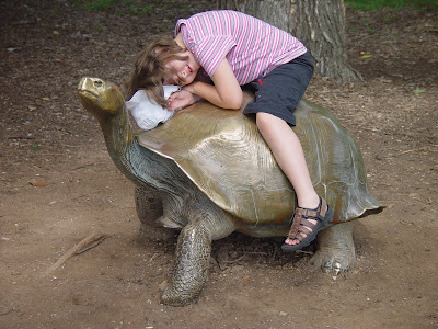 Tulsa Zoo Bronze Turtle