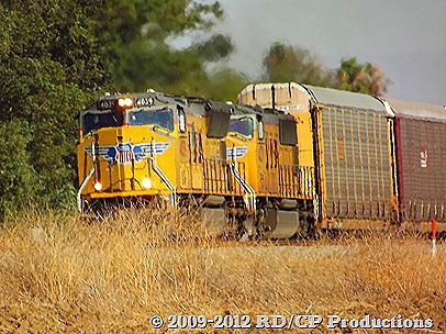 DSCF0363
