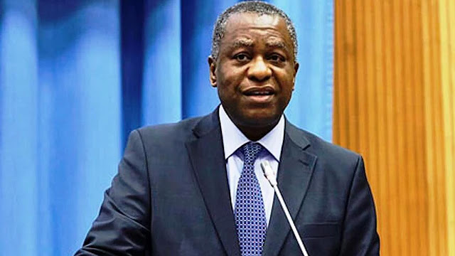 Xenophobia: Nigerian govt to send security agents to join South Africa force – Onyeama