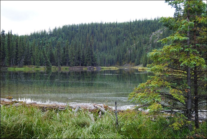 2013_08_Alaska 953