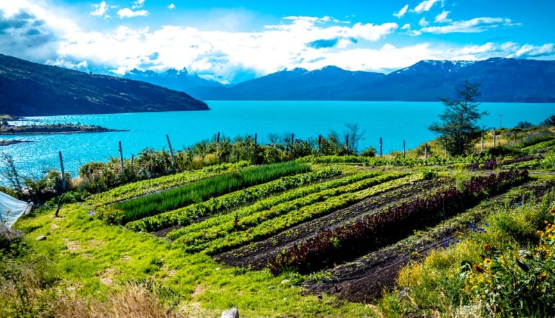 Destinarán más de $270 millones para el rubro hortofrutícola en Aysén