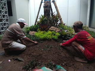 tukang taman surabaya kota tianggadha art