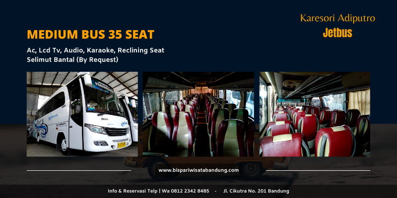 Bus Medium 35 Seat Jetbus