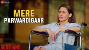 Mere-parwadigaar