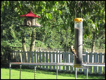 September 2010 003