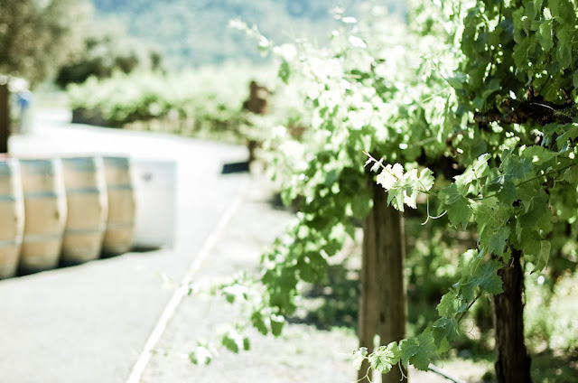 Napa Valley winery, Cakebread Cellars