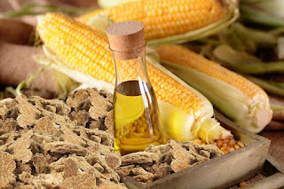 benefits of corn oil