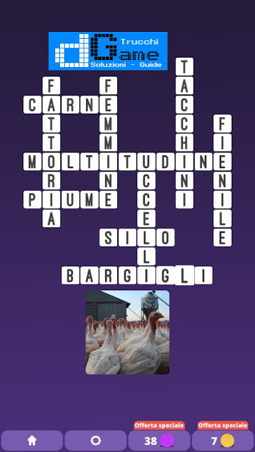 Soluzioni One Clue Crossword livello 30 schemi 1 - 15 (Cruciverba illustrato)  | Parole e foto