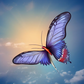 A purple colour Butterfly flying on the sky