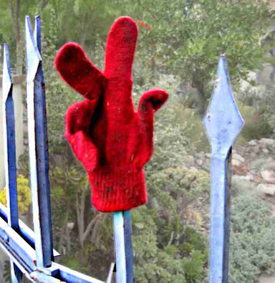 Gloves in the Wild (c) David Ocker