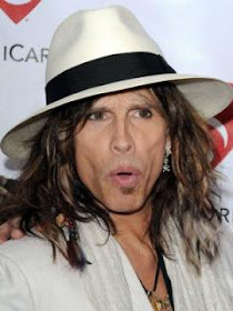 steven tyler fall