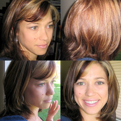 blonde highlights and lowlights on brown hair. We cut off about 6 inches,